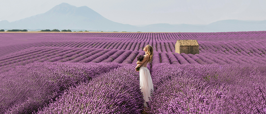 Mujer en un campo de lavanda en la Provenza