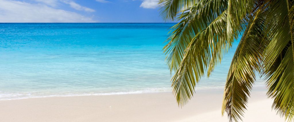 Crucero por Grand Cayman, imagen de la playa