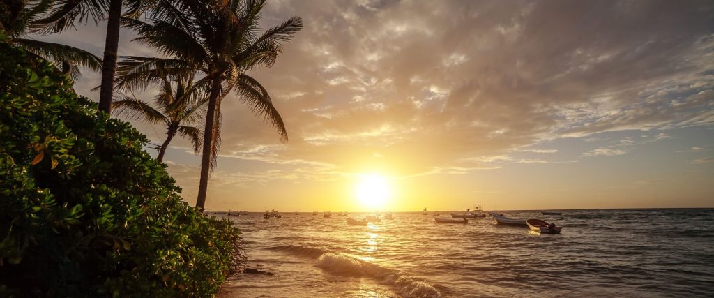 Escala de crucero en Grand Cayman: fotografía de playa y palmeras